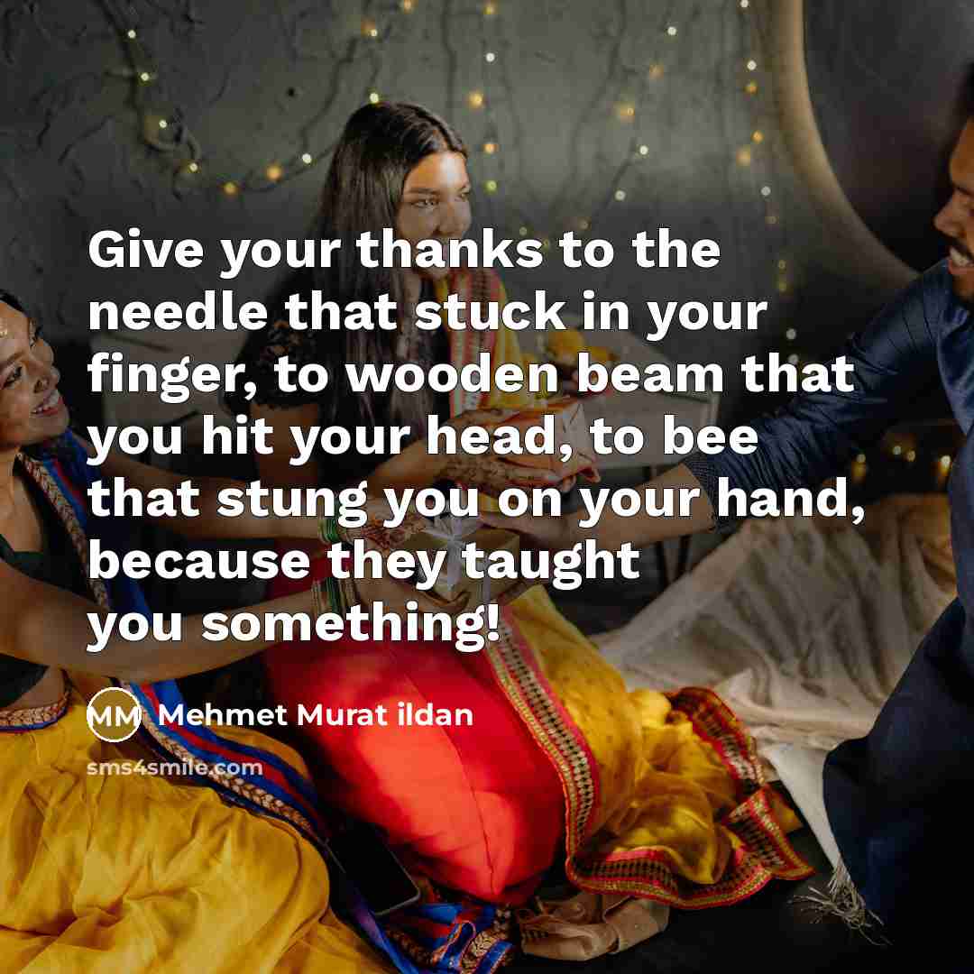 “Give your thanks to the needle that stuck in your…” quote by Mehmet Murat Ildan