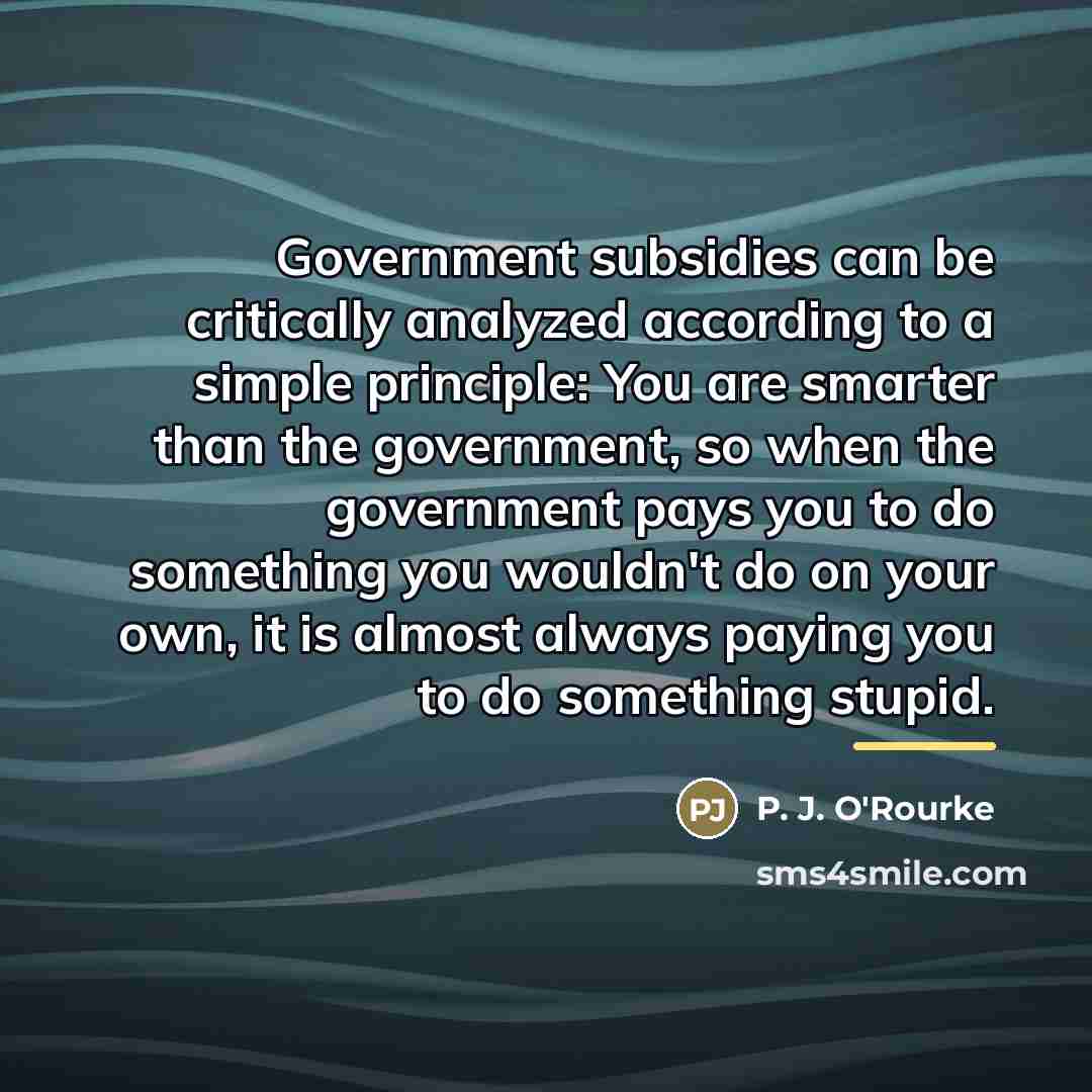 “Government subsidies can be critically analyzed according to a simple…” quote by P. J. O'Rourke