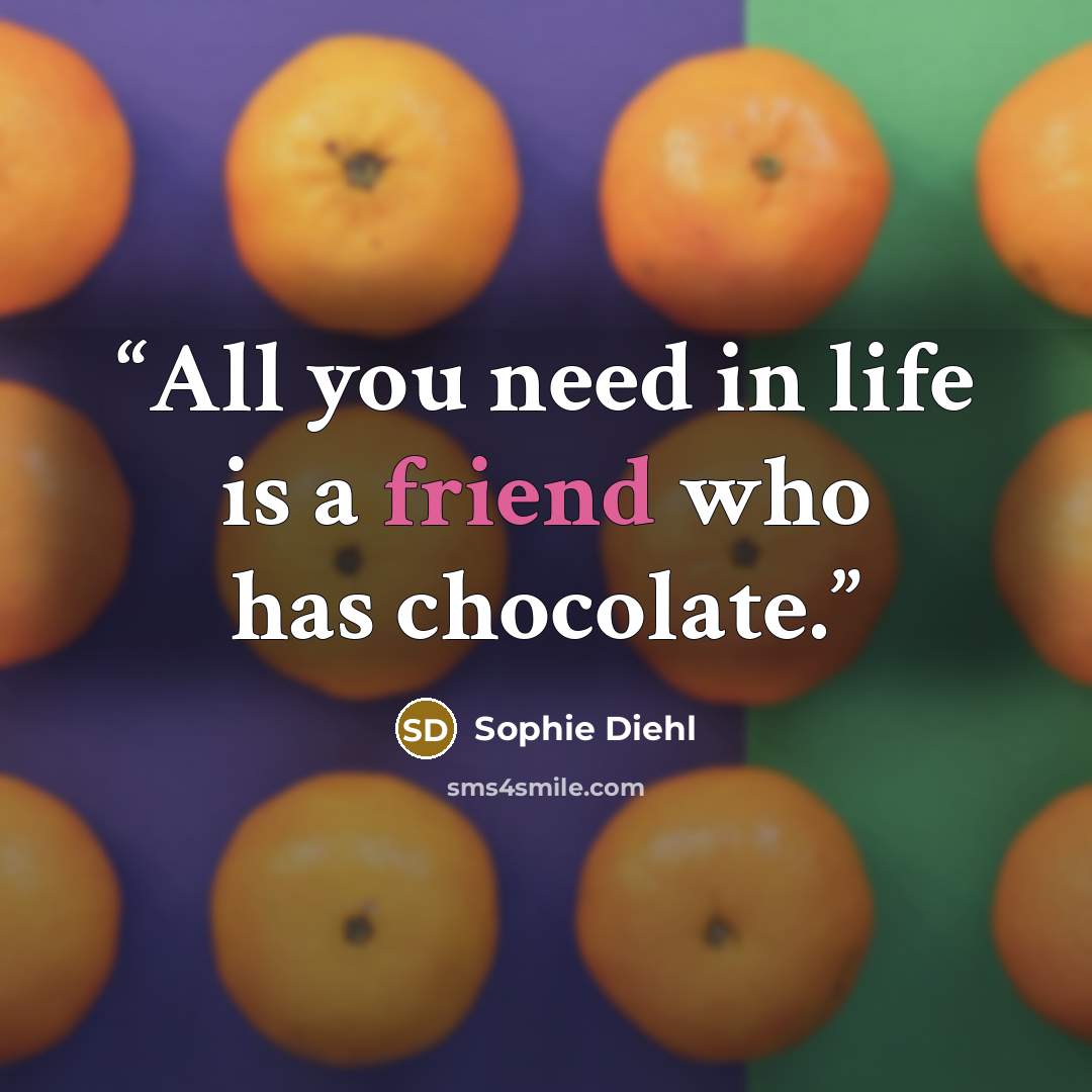 “All you need in life is a friend who has chocolate.” quote by Sophie Diehl