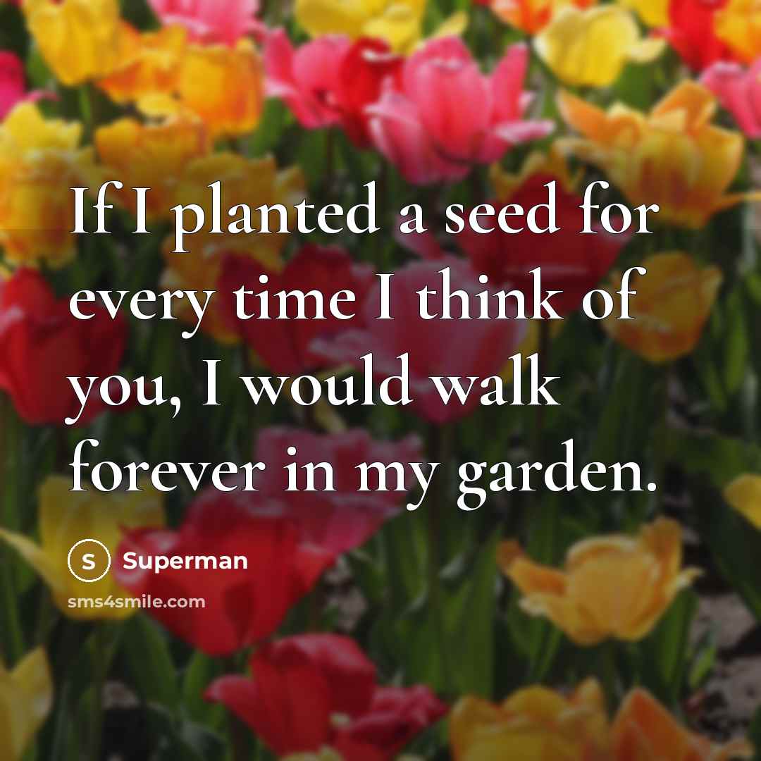 “If I planted a seed for every time I think…” quote by Superman