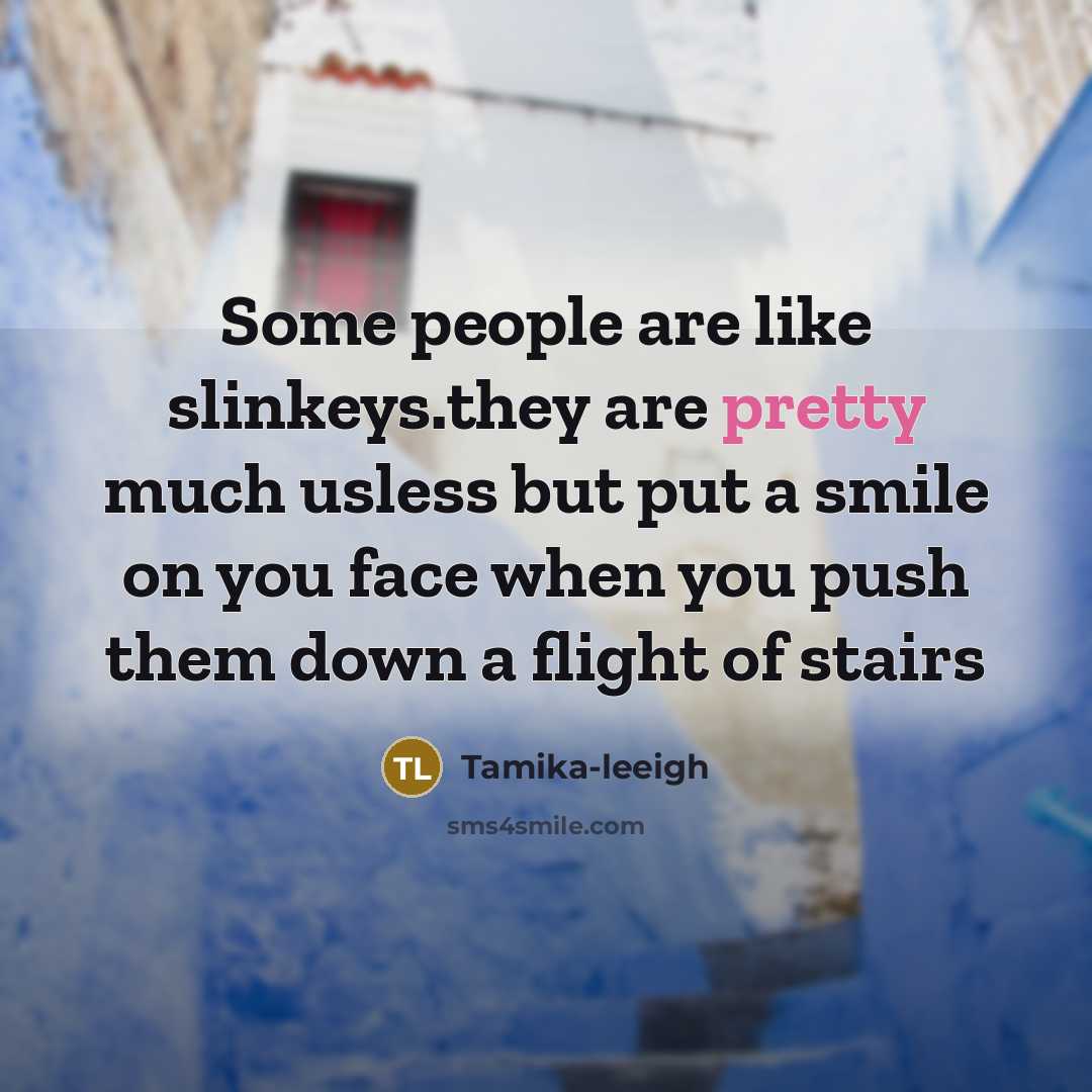 “Some people are like slinkeys.they are pretty much usless but put a smile on you face when you push them down a flight of stairs” quote by Tamika-leeigh