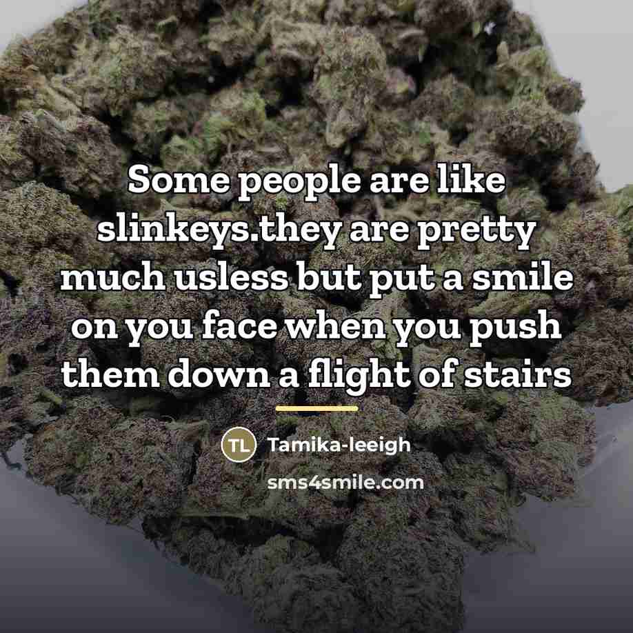“Some people are like slinkeys.they are pretty much usless but…” quote by Tamika-leeigh