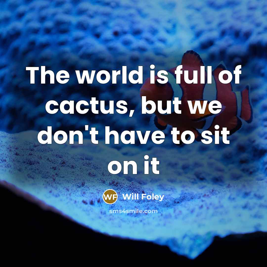 “The world is full of cactus, but we don't have to sit on it” quote by Will Foley