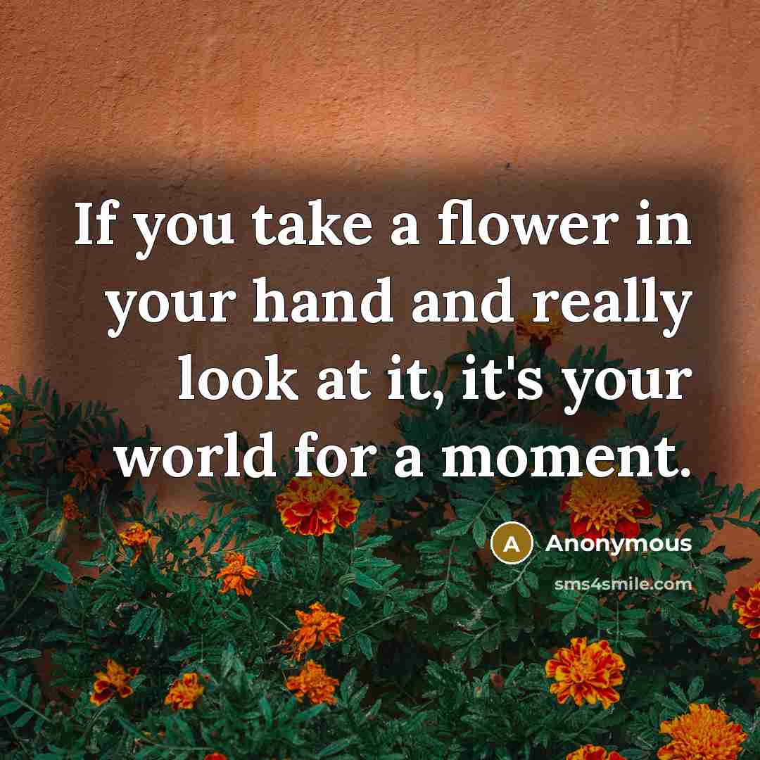 “If you take a flower in your hand and really…” quote by Anonymous