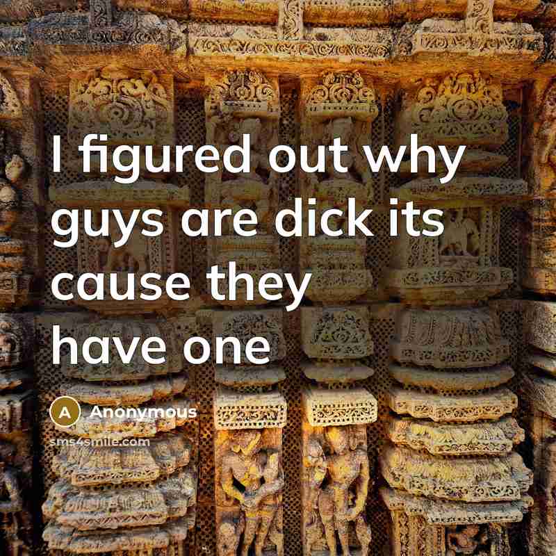 “I figured out why guys are dick its cause they have one” quote by Anonymous