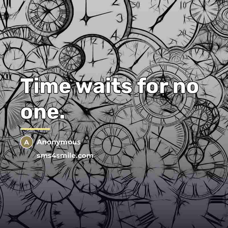 “Time waits for no one.…” quote by Girl Who Leapt Through Time