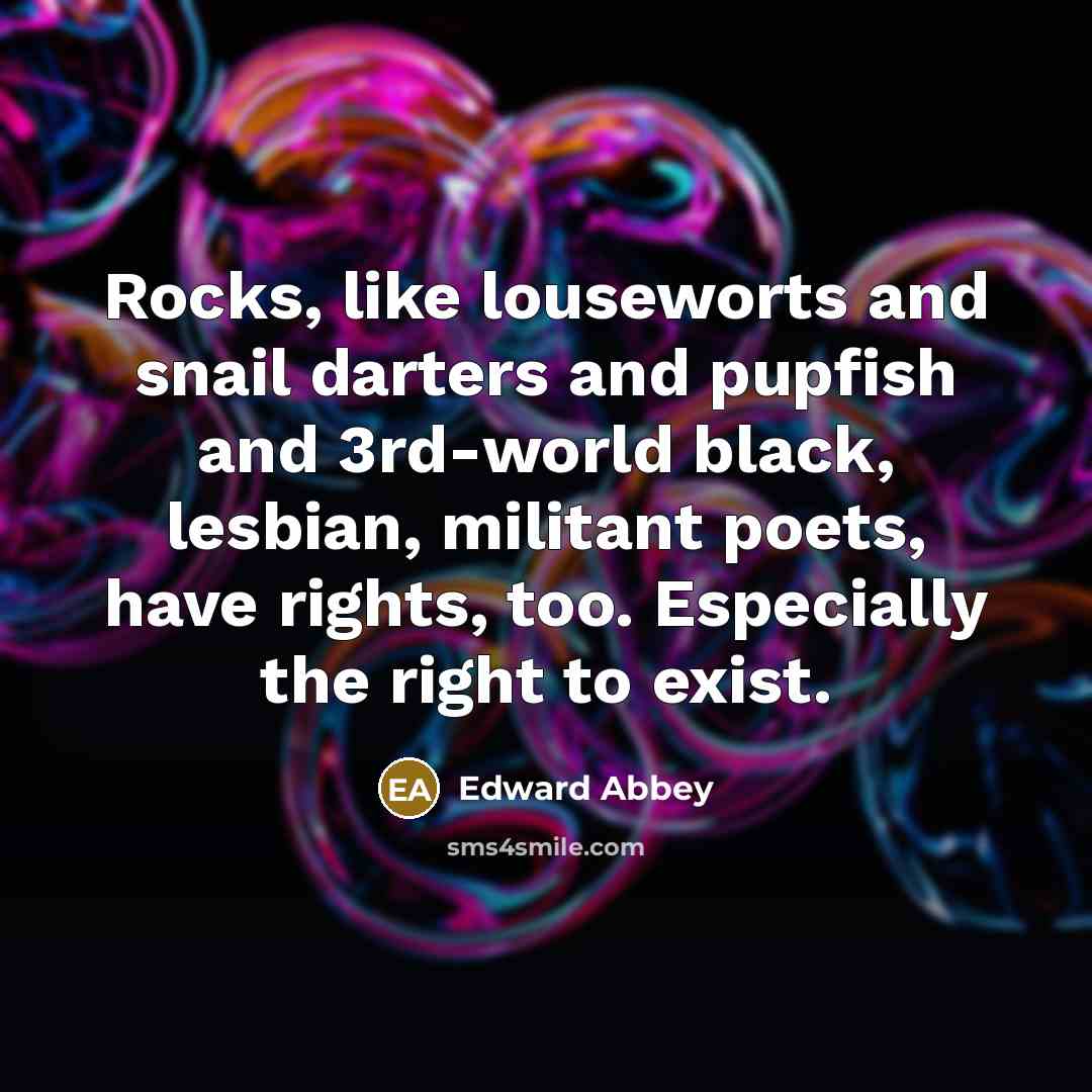 “Rocks, like louseworts and snail darters and pupfish and 3rd-world…” quote by Edward Abbey