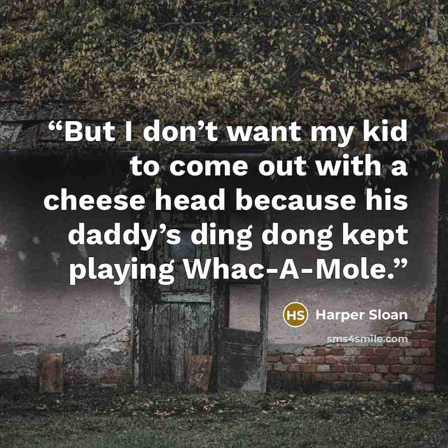“But I don’t want my kid to come out with a cheese head because his daddy’s ding dong kept playing Whac-A-Mole.” quote by Harper Sloan