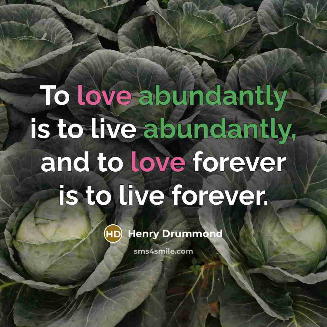 “To love abundantly is to live abundantly, and to love forever is to live forever.” quote by Henry Drummond