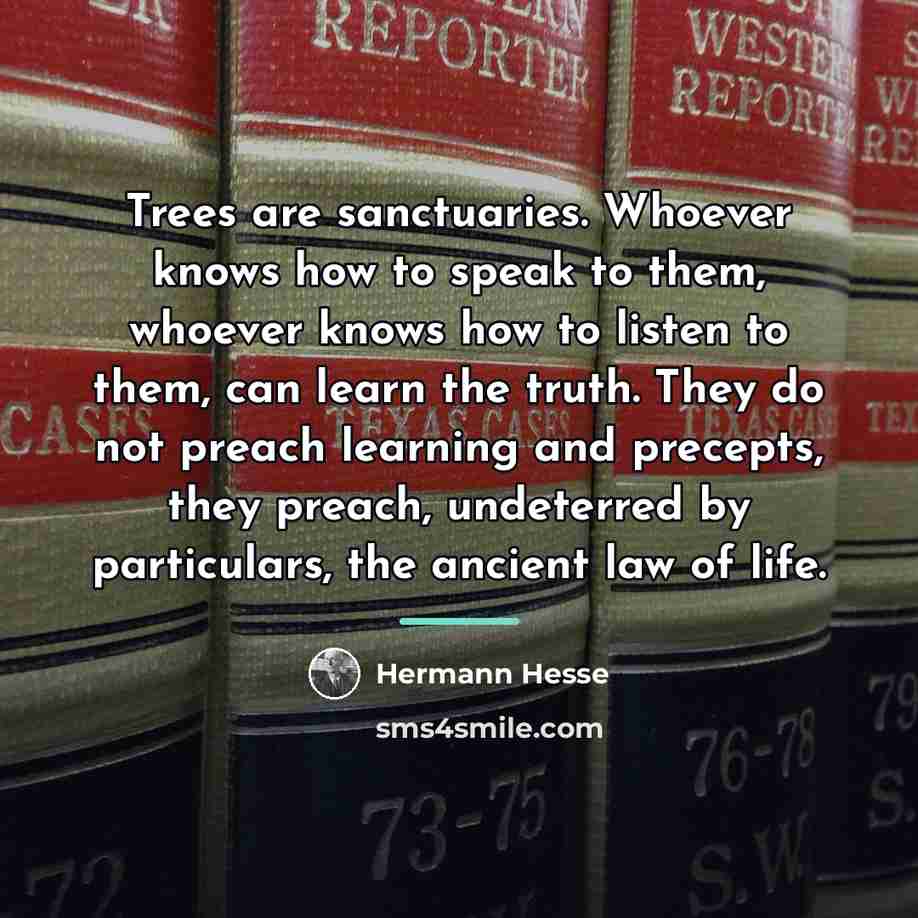 “Trees are sanctuaries. Whoever knows how to speak to them,…” quote by Hermann Hesse
