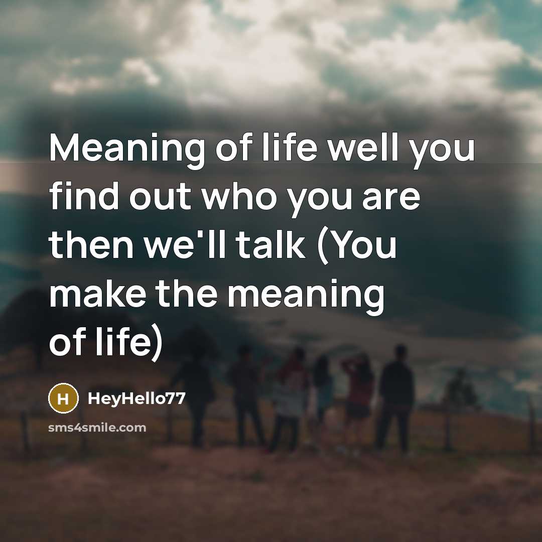 “Meaning of life well you find out who you are…” quote by HeyHello77