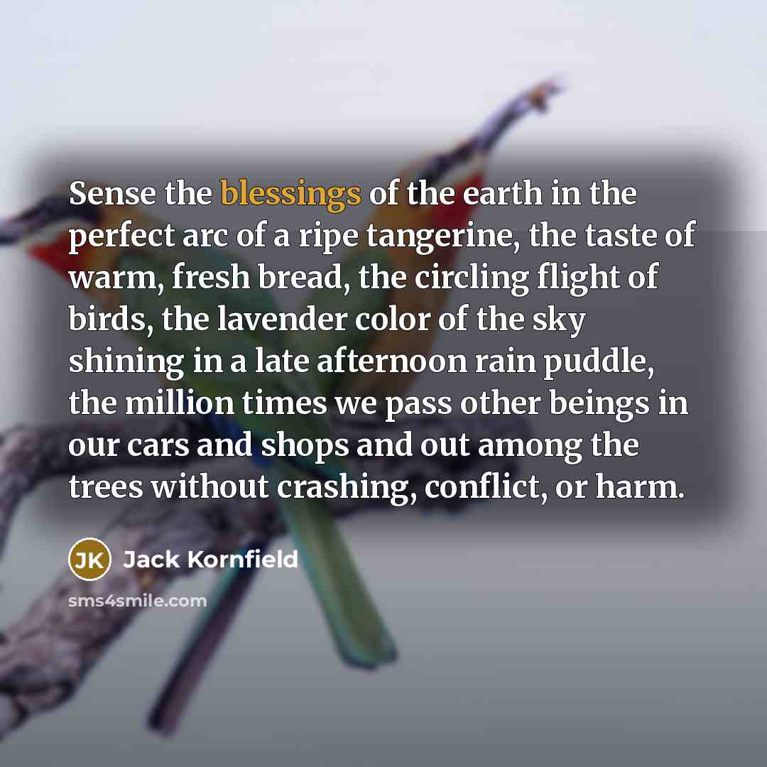“Sense the blessings of the earth in the perfect arc…” quote by Jack Kornfield