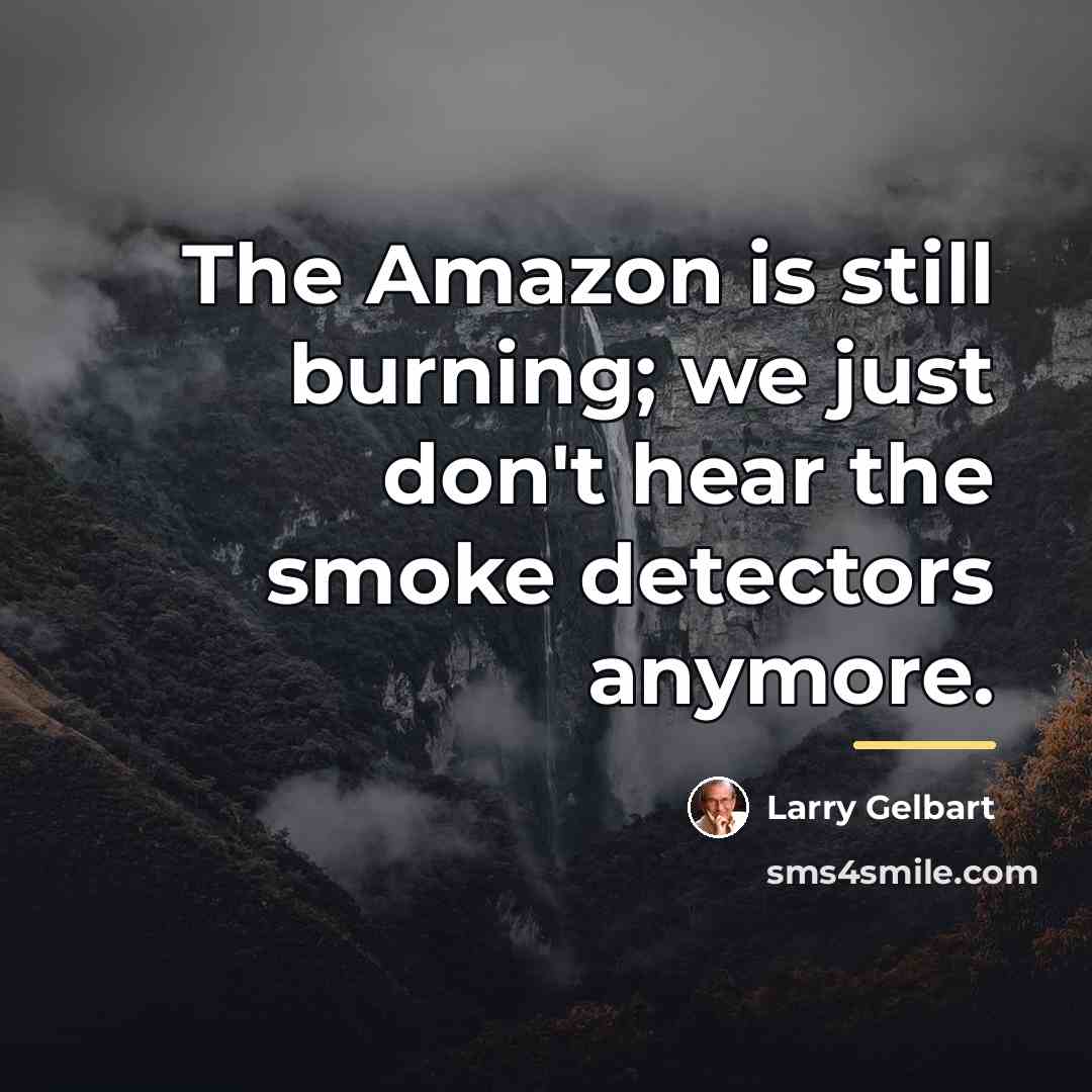 “The Amazon is still burning; we just don't hear the…” quote by Larry Gelbart