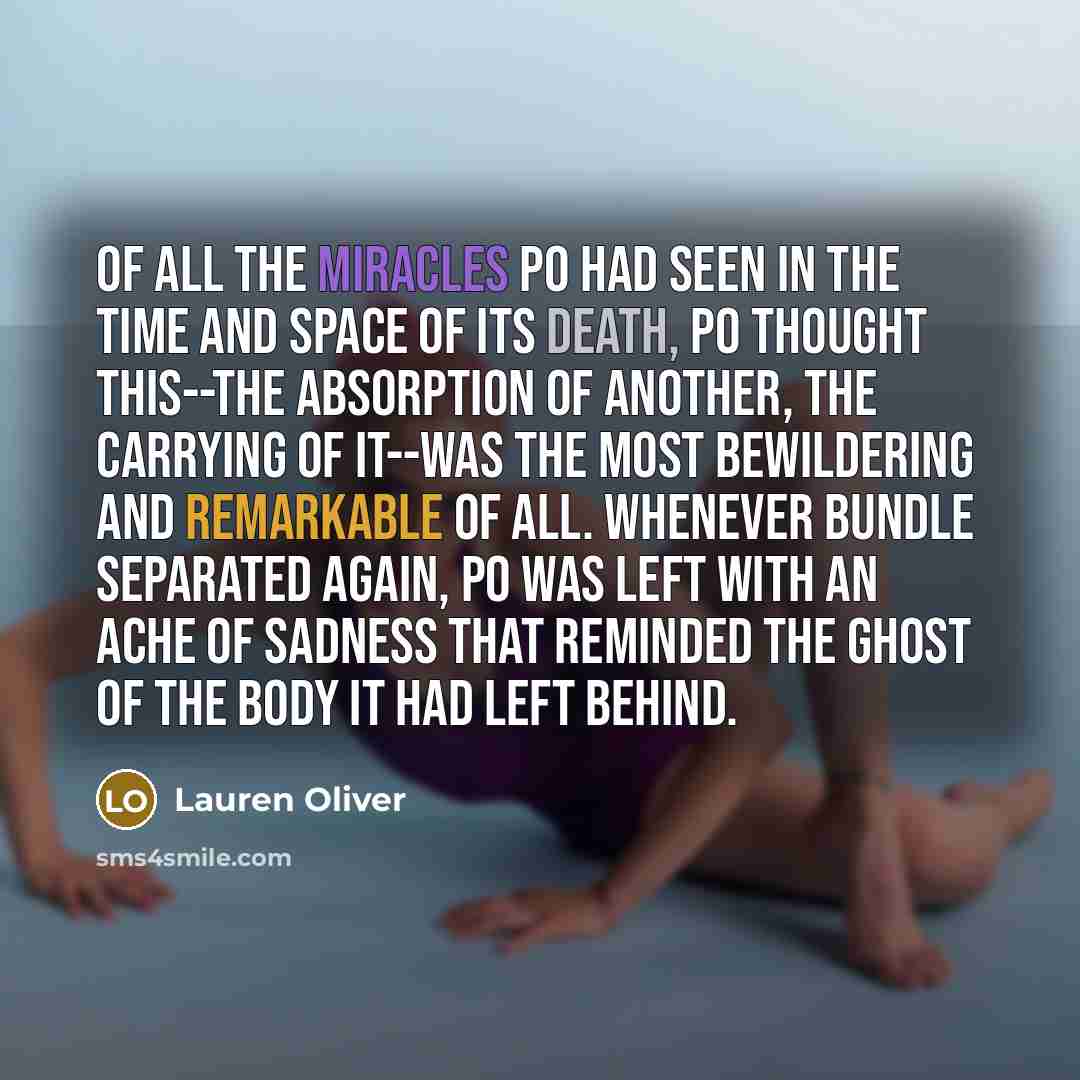 “Of all the miracles Po had seen in the time…” quote by Lauren Oliver