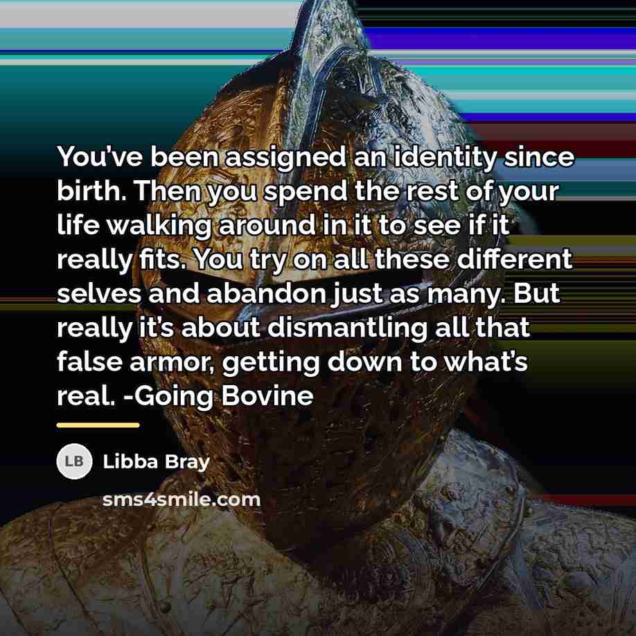 “You’ve been assigned an identity since birth. Then you spend…” quote by Libba Bray