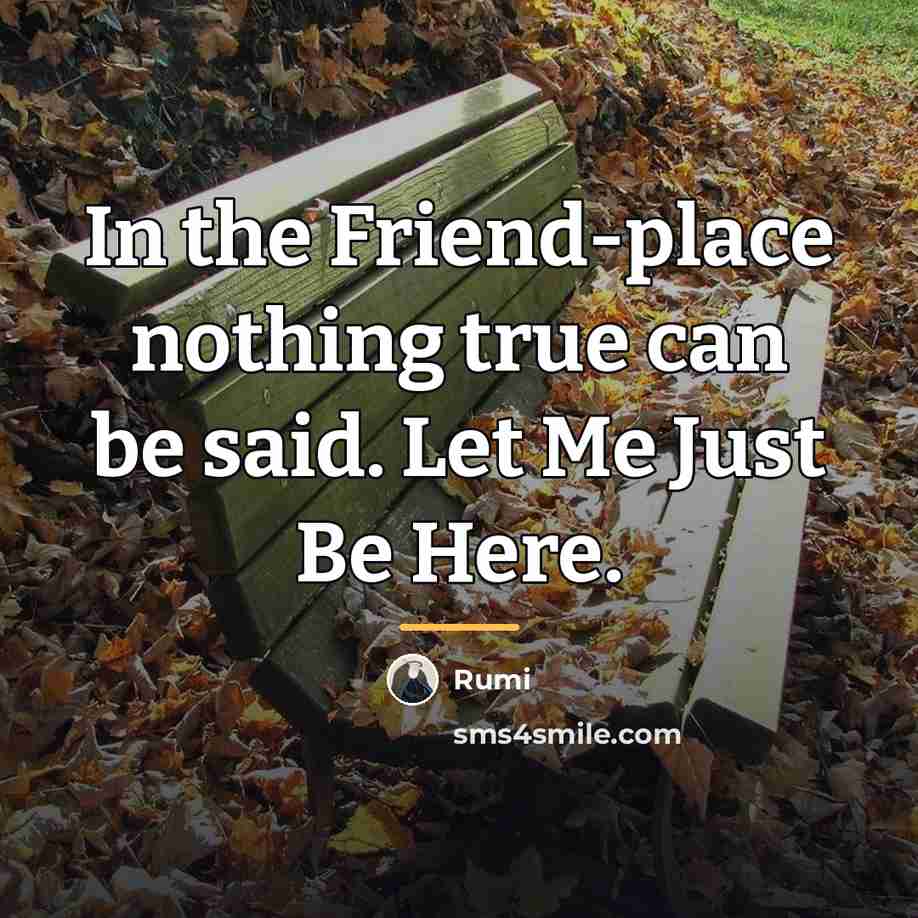“In the Friend-place nothing true can be said. Let Me…” quote by Rumi