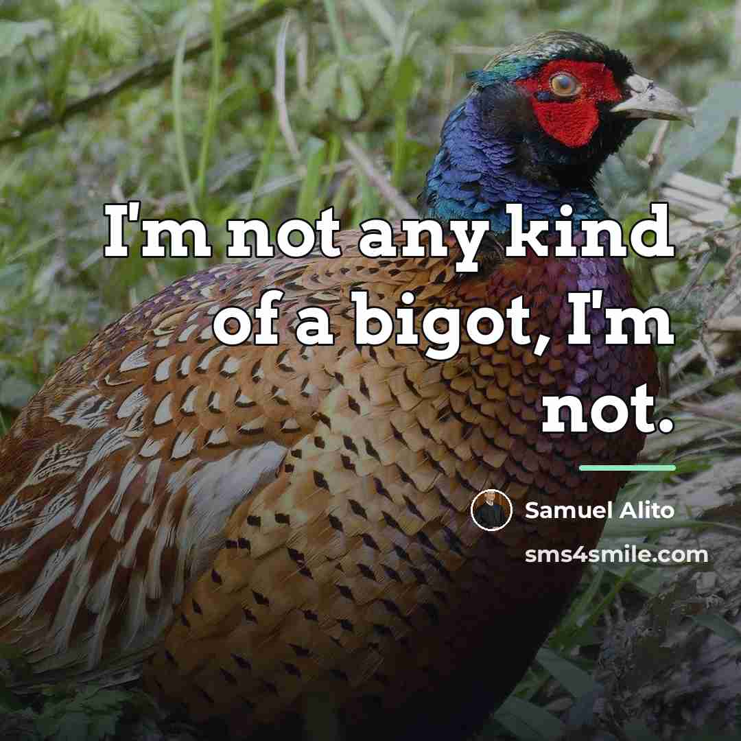 “I'm not any kind of a bigot, I'm not.…” quote by Samuel Alito
