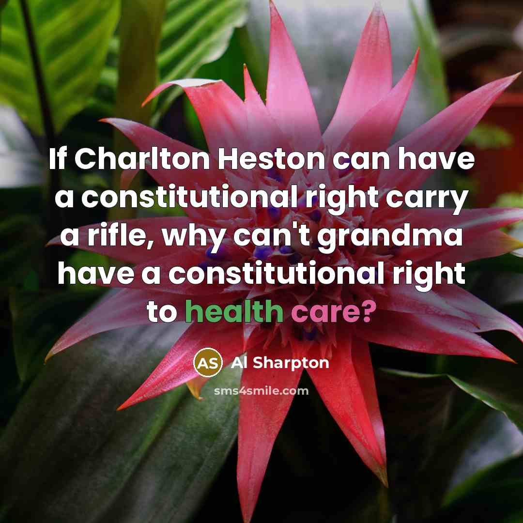 “If Charlton Heston can have a constitutional right carry a rifle, why can't grandma have a constitutional right to health care?” quote by Al Sharpton