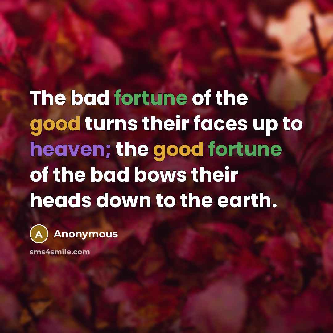 “The bad fortune of the good turns their faces up…” quote by Anonymous