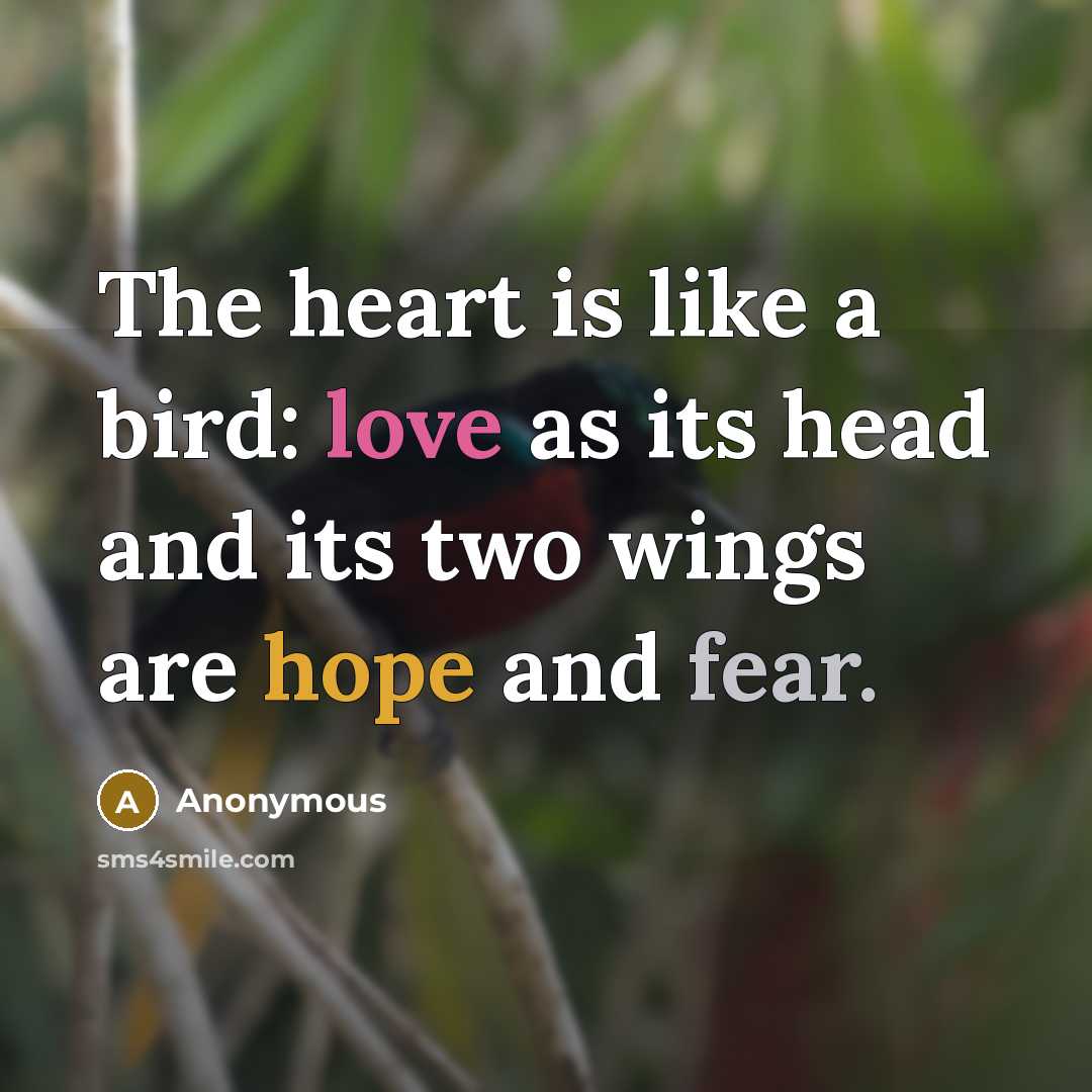 “The heart is like a bird: love as its head and its two wings are hope and fear.” quote by Anonymous