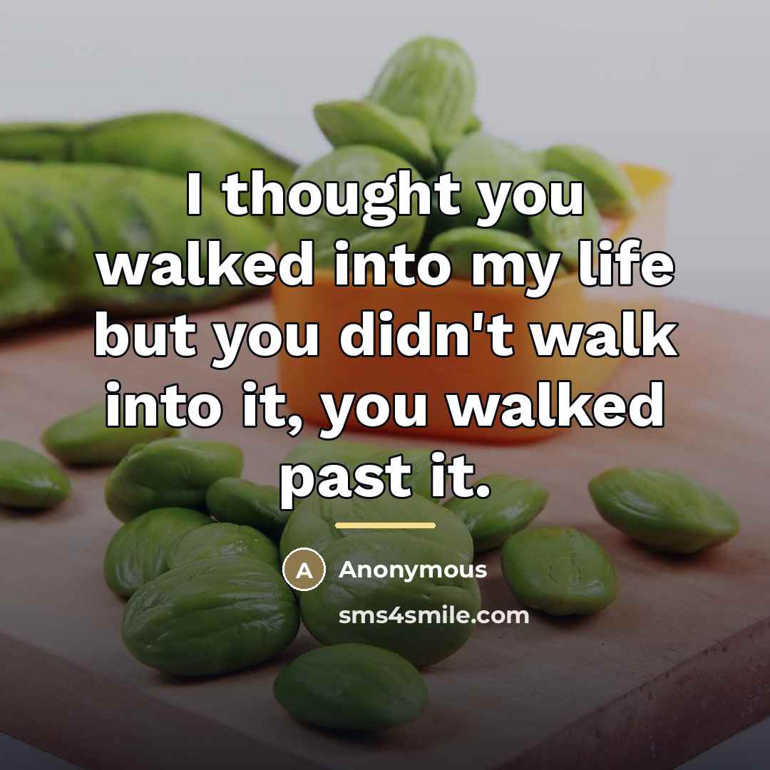 “I thought you walked into my life but you didn't…” quote by Anonymous