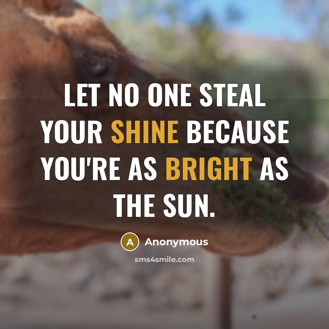 “Let no one steal your shine because you're as bright as the sun.” quote by Anonymous