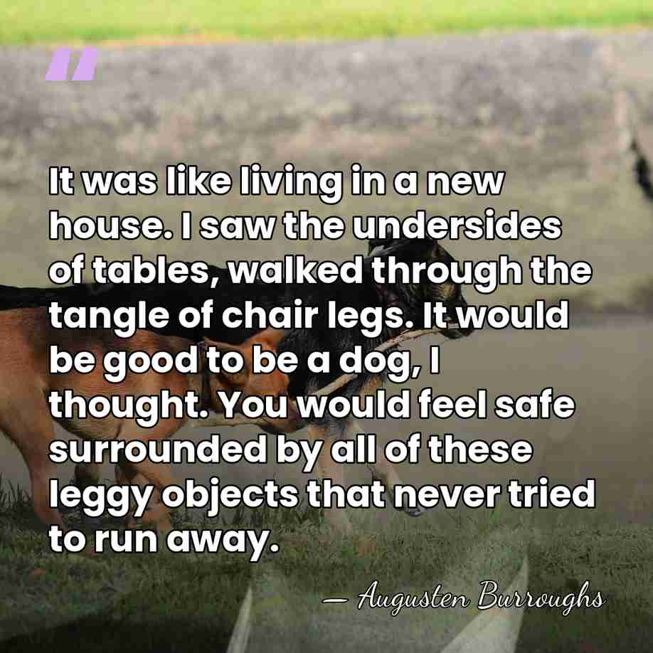 It was like living in a new house. I saw the undersides&hellip; - Augusten Burroughs