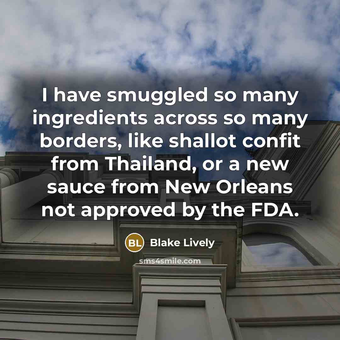 “I have smuggled so many ingredients across so many borders,…” quote by Blake Lively