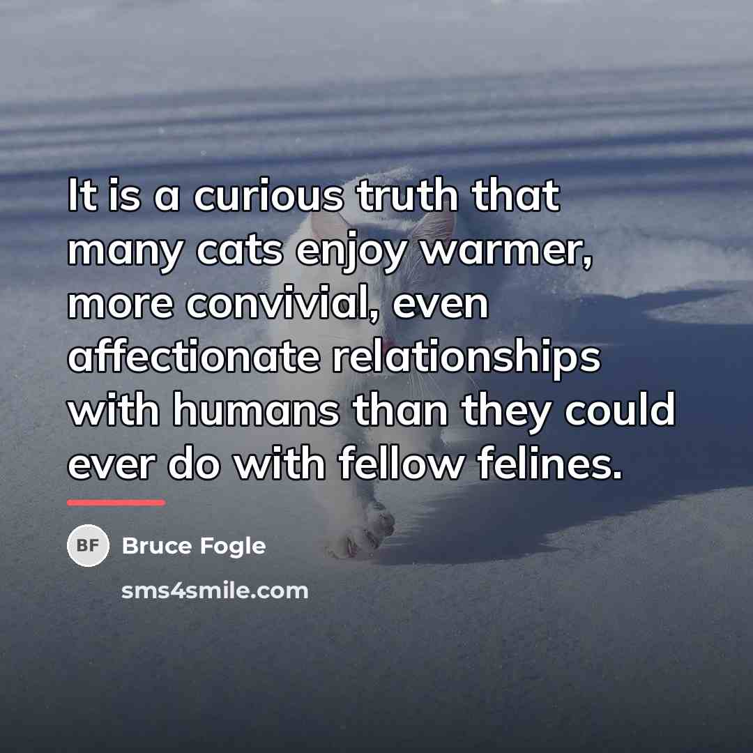 “It is a curious truth that many cats enjoy warmer,…” quote by Bruce Fogle