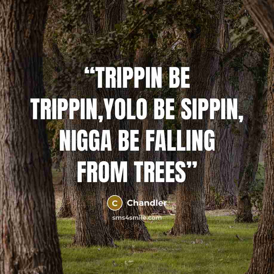 “Trippin be Trippin,yolo Be Sippin, Nigga be falling from trees” quote by Chandler
