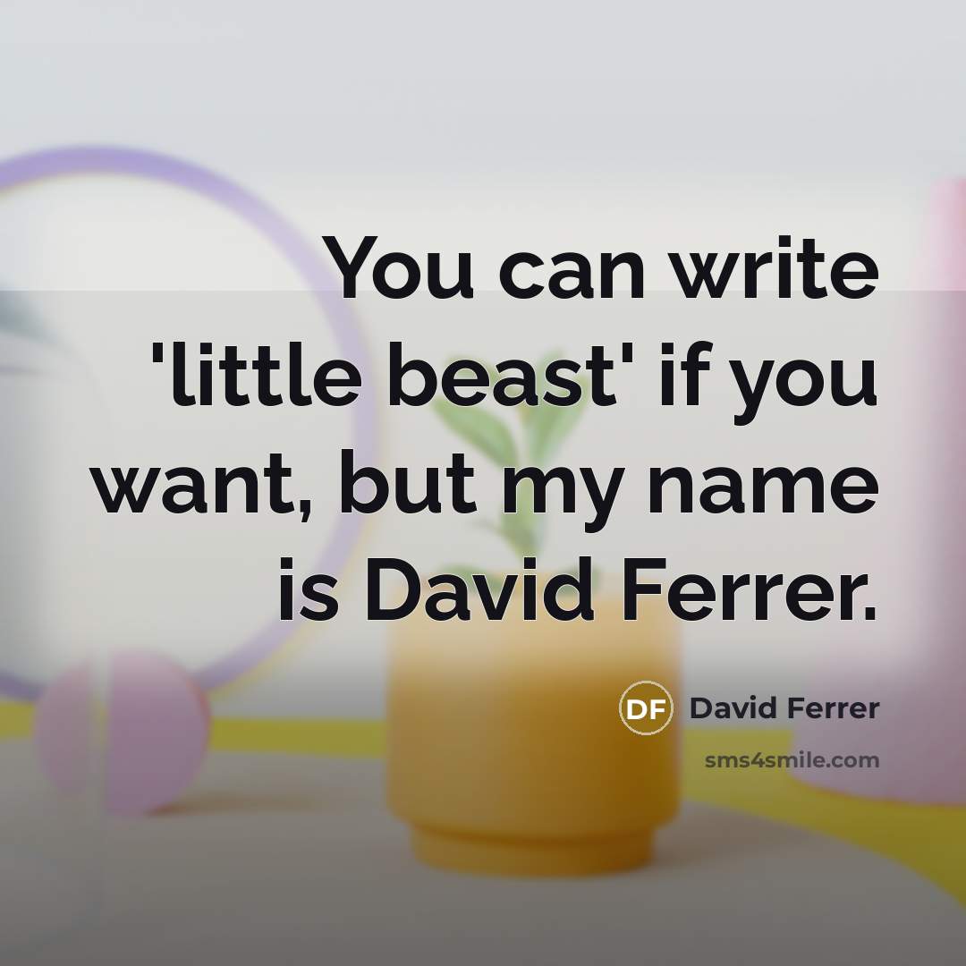 “You can write 'little beast' if you want, but my…” quote by David Ferrer