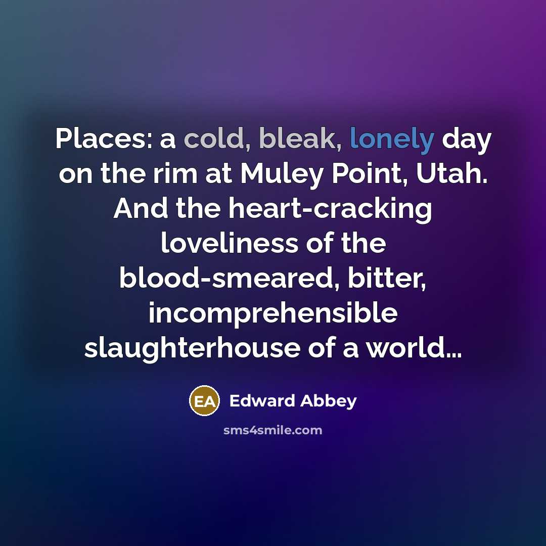“Places: a cold, bleak, lonely day on the rim at…” quote by Edward Abbey