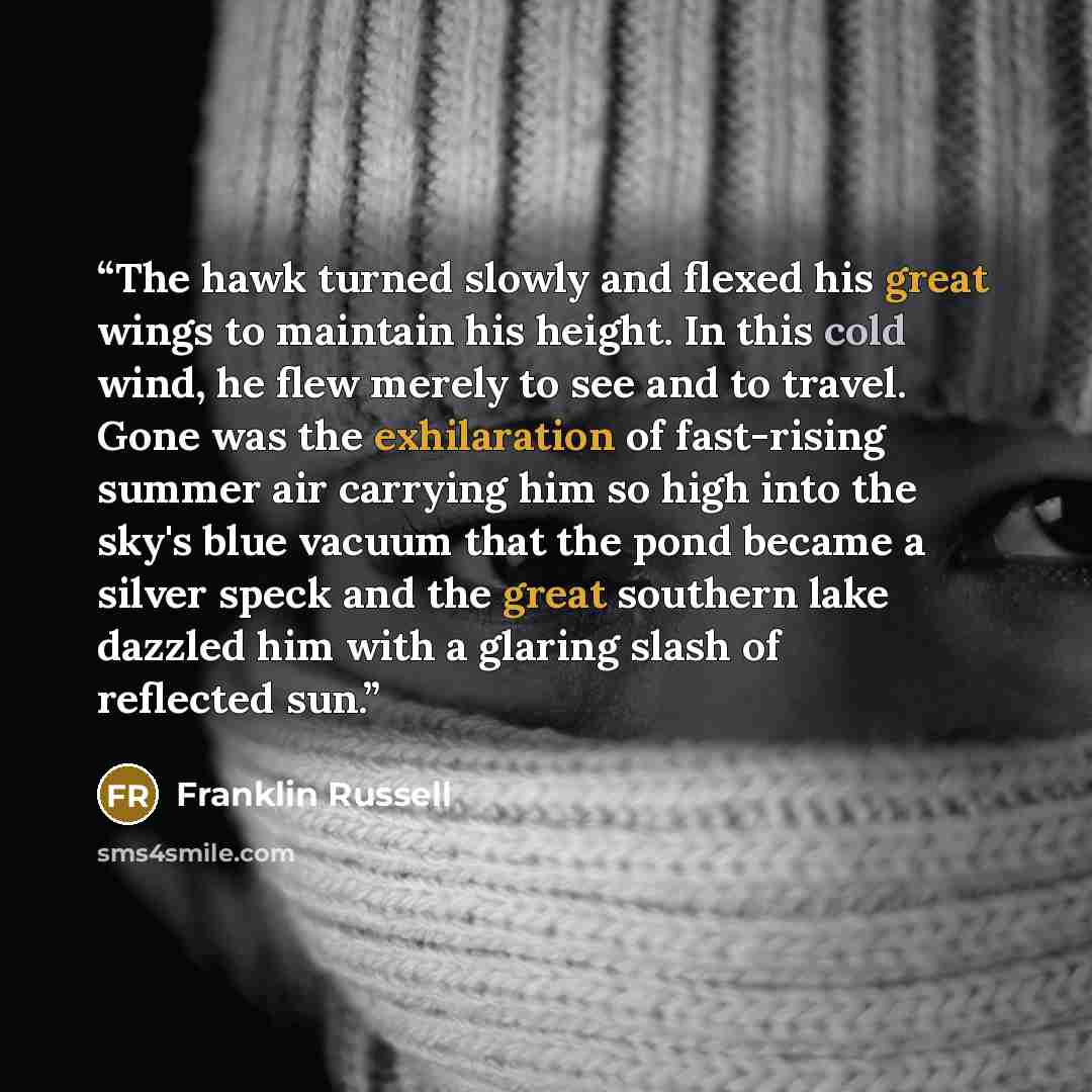 “The hawk turned slowly and flexed his great wings to maintain his height. In this cold wind, he flew merely to see and to travel. Gone was the exhilaration of fast-rising summer air carrying him so high into the sky's blue vacuum that the pond became a silver speck and the great southern lake…” quote by Franklin Russell