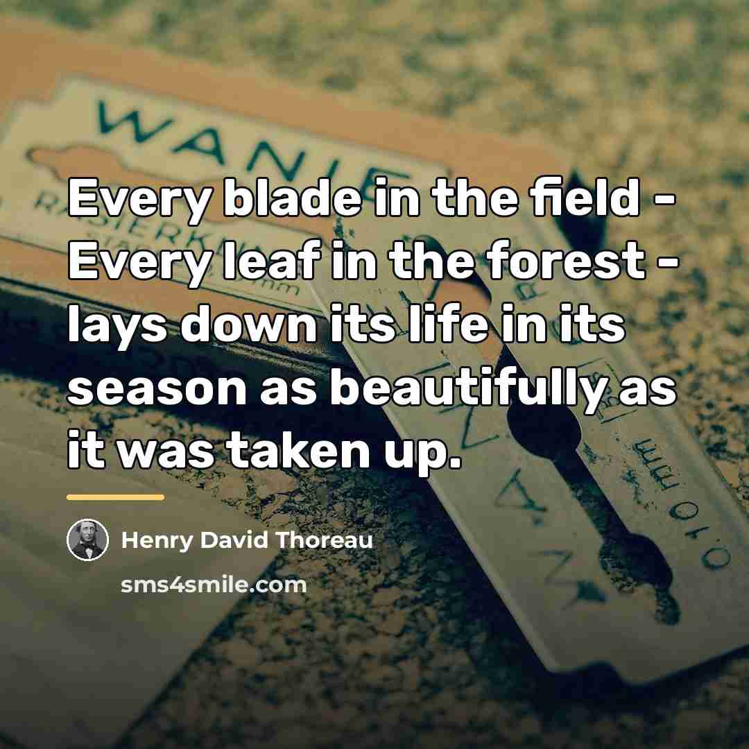 “Every blade in the field - Every leaf in the…” quote by Henry David Thoreau