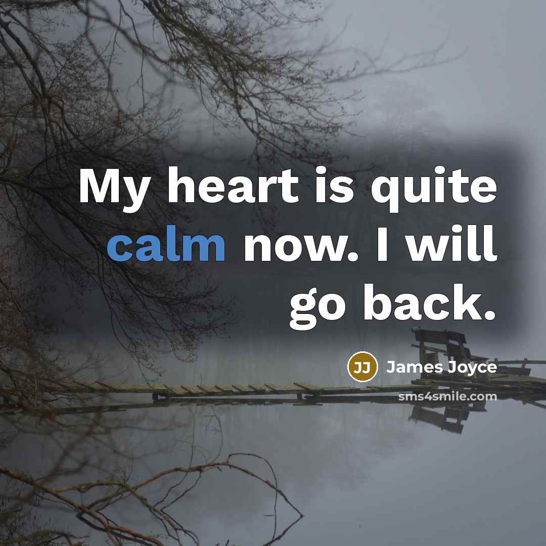 “My heart is quite calm now. I will go back.…” quote by James Joyce