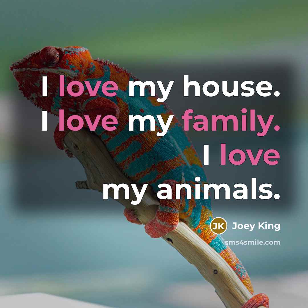 “I love my house. I love my family. I love…” quote by Joey King