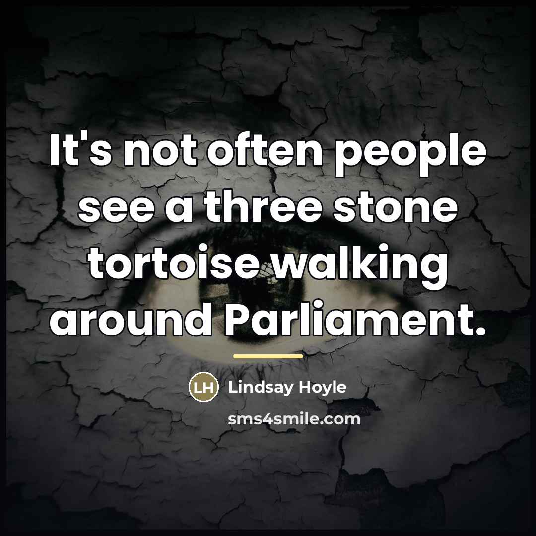 “It's not often people see a three stone tortoise walking…” quote by Lindsay Hoyle