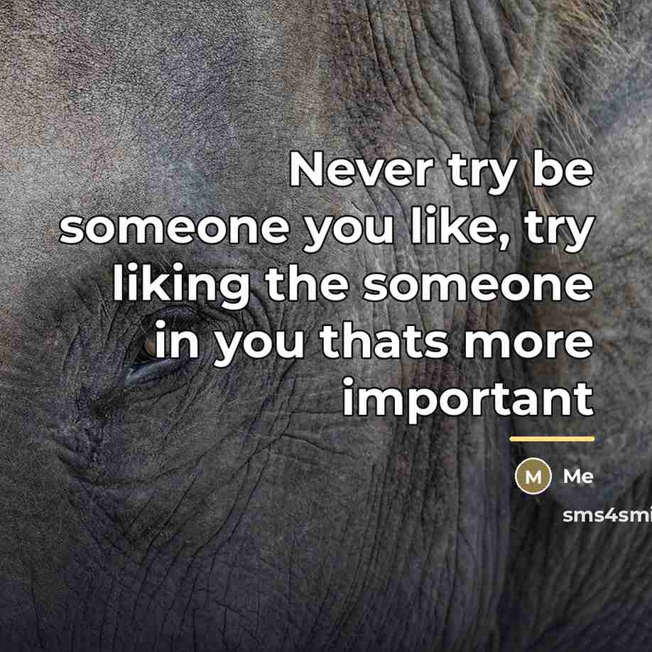 “Never try be someone you like, try liking the someone…” quote by Me