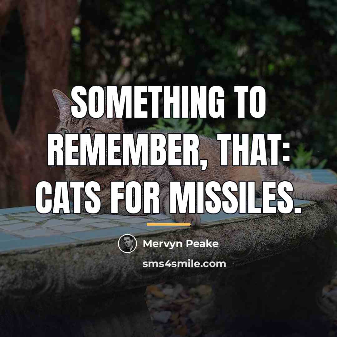 “Something to remember, that: cats for missiles.…” quote by Mervyn Peake