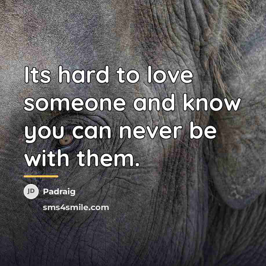 “Its hard to love someone and know you can never…” quote by Padraig