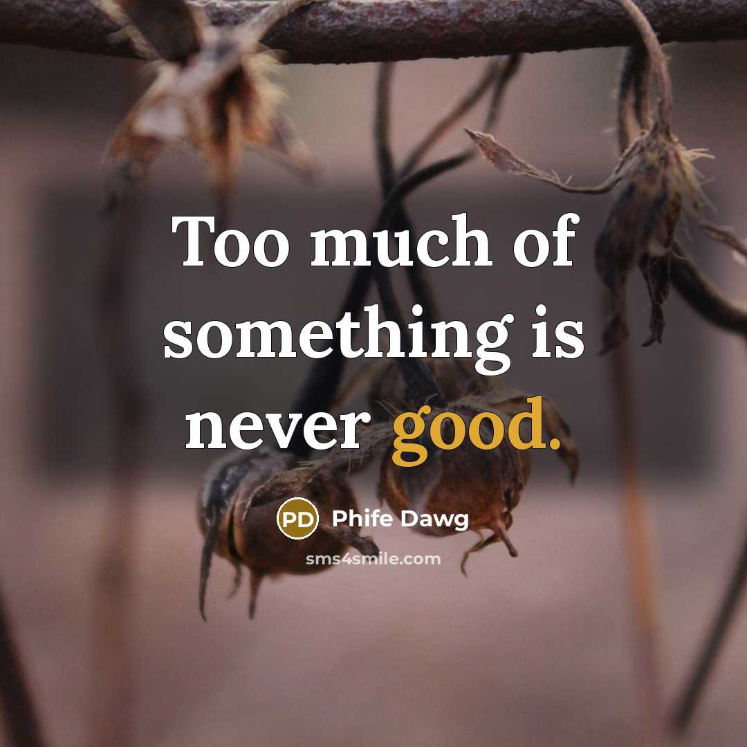 “Too much of something is never good.…” quote by Phife Dawg
