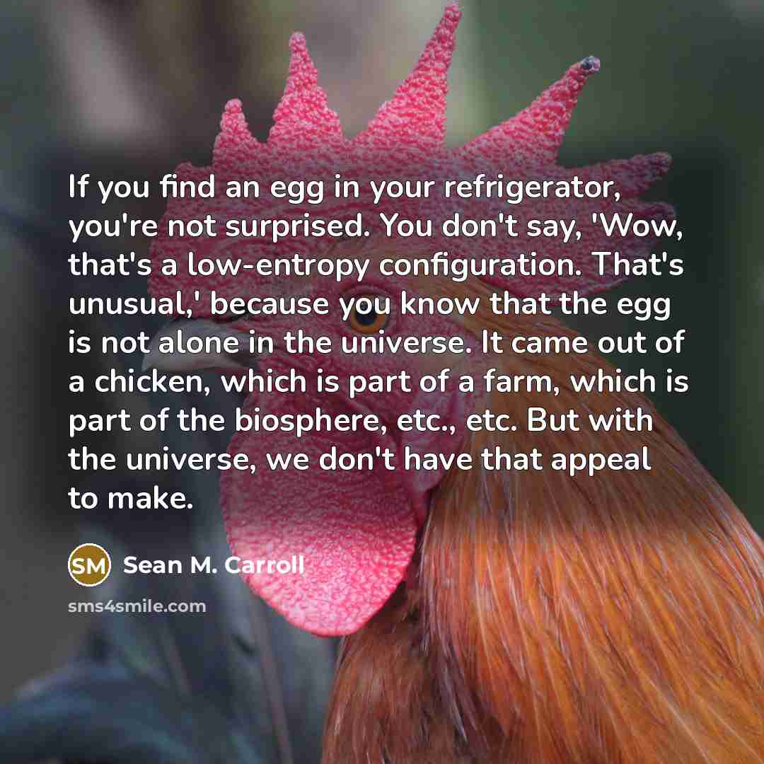 “If you find an egg in your refrigerator, you're not…” quote by Sean M. Carroll
