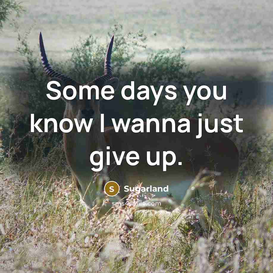 “Some days you know I wanna just give up.…” quote by Sugarland