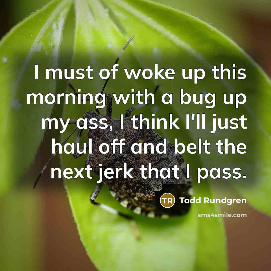 “I must of woke up this morning with a bug…” quote by Todd Rundgren