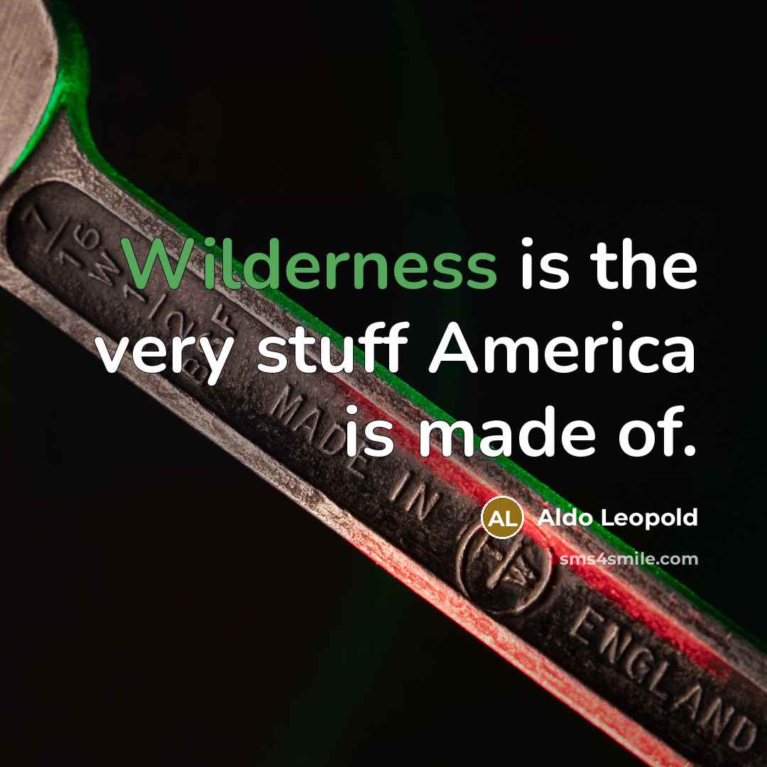 “Wilderness is the very stuff America is made of.…” quote by Aldo Leopold