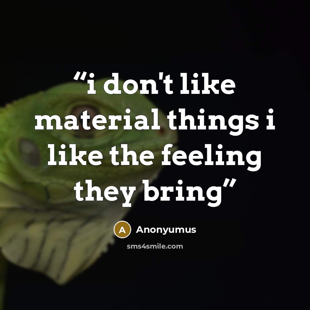 “i don't like material things i like the feeling they bring” quote by Anonyumus