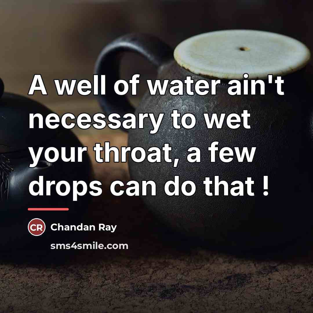 “A well of water ain't necessary to wet your throat,…” quote by Chandan Ray