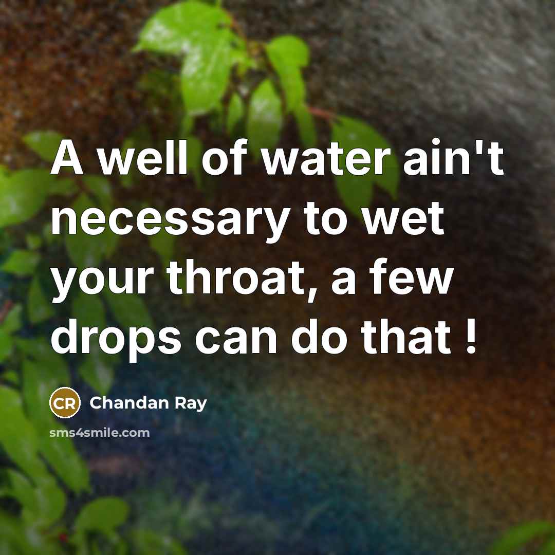“A well of water ain't necessary to wet your throat, a few drops can do that !” quote by Chandan Ray