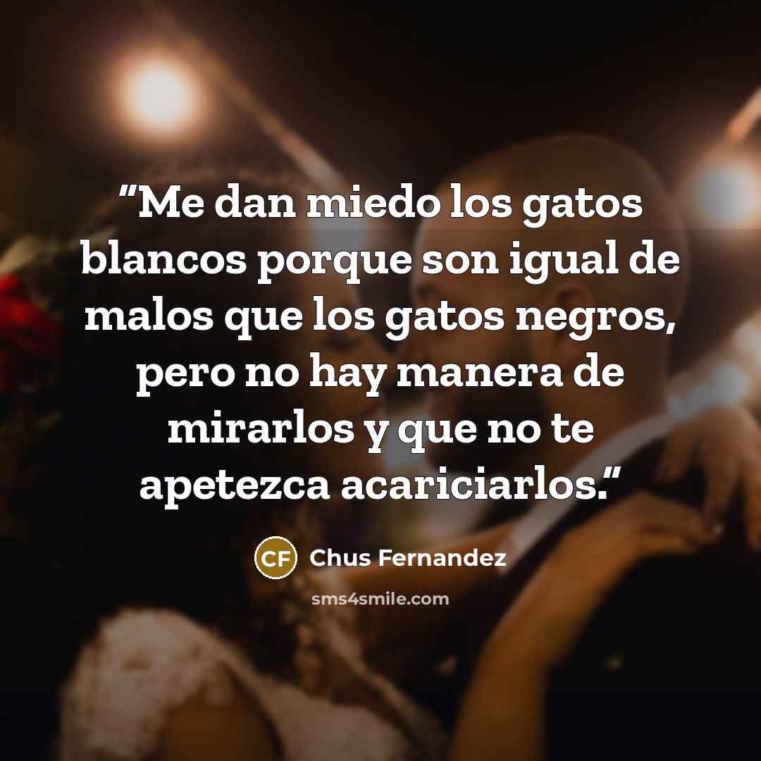 “Me dan miedo los gatos blancos porque son igual de malos que los gatos negros, pero no hay manera de mirarlos y que no te apetezca acariciarlos.” quote by Chus Fernandez