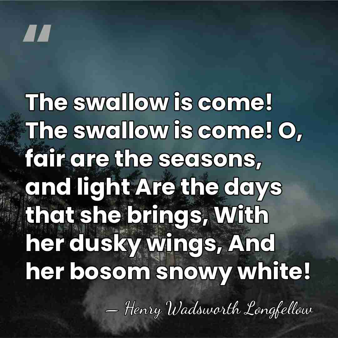 The swallow is come! The swallow is come! O, fair are the&hellip; - Henry Wadsworth Longfellow